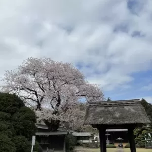 経営計画の難しさのサムネイル